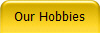Our Hobbies
